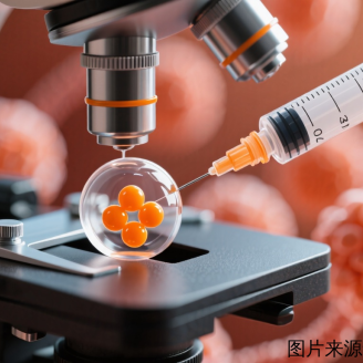 二代试管婴儿全流程解析：从检查到验孕的10大步骤详解